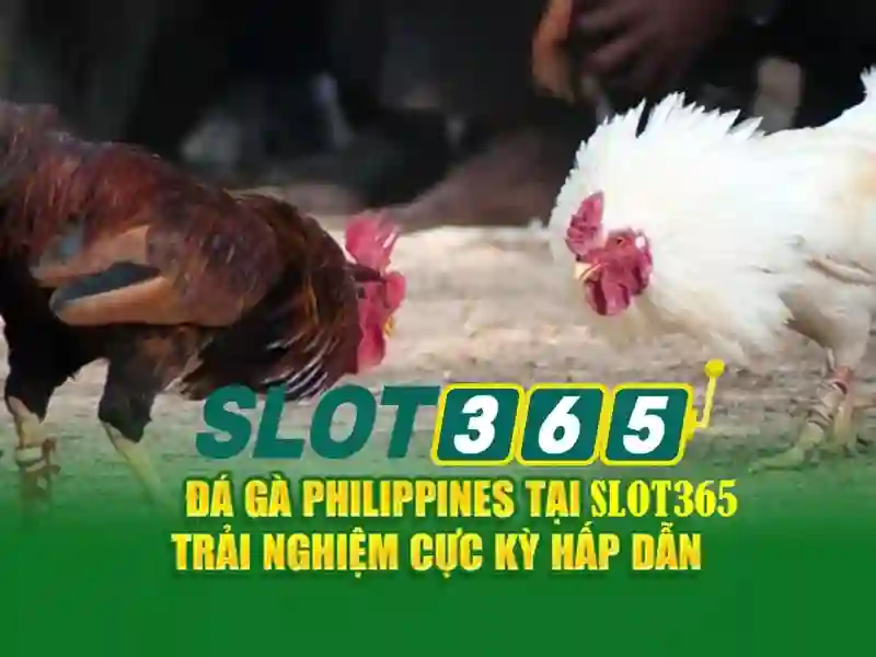 Các trò chơi và nhà phát triển