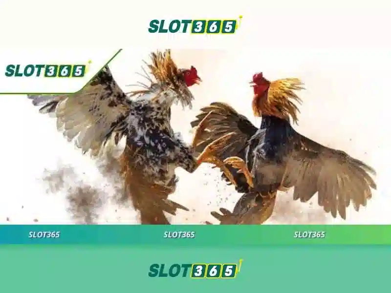 Slot365: Giới thiệu và đánh giá ngắn gọn