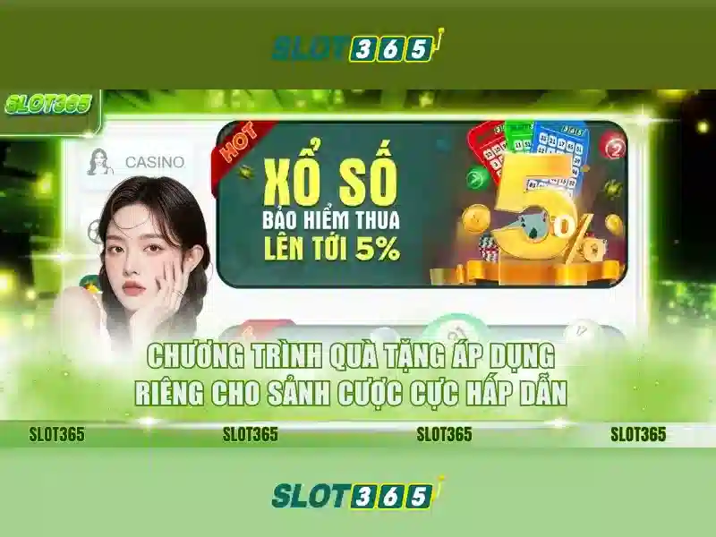 Trải nghiệm người dùng và giao diện