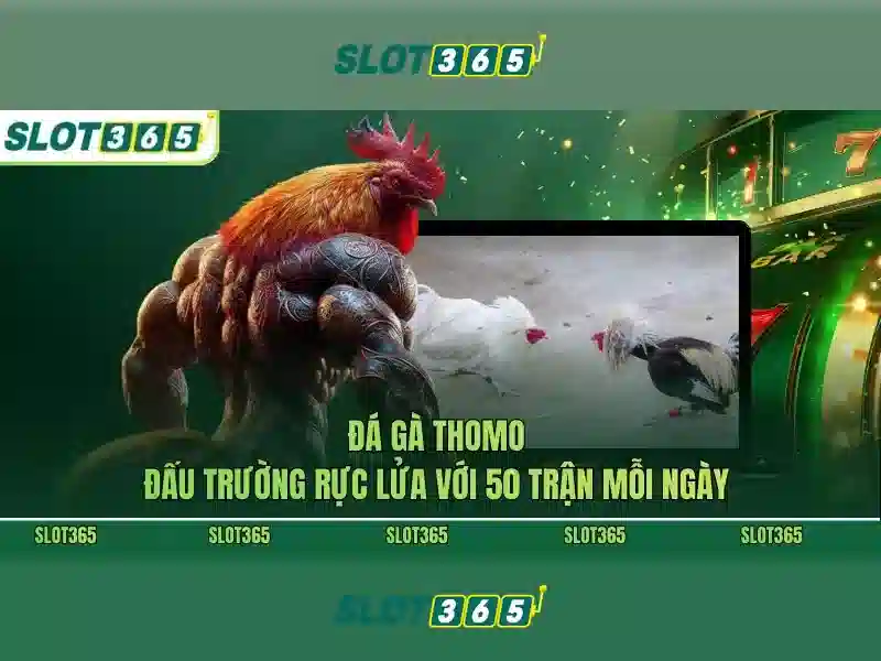 Trải nghiệm người dùng và giao diện