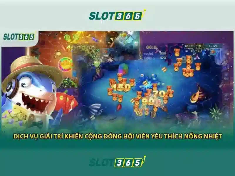 Trải nghiệm di động và kết luận