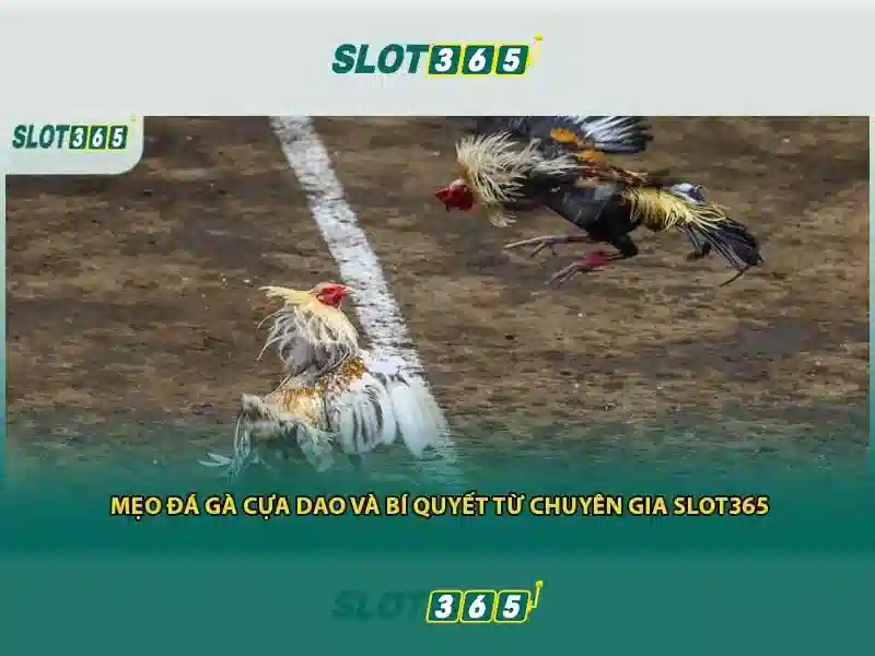 Slot365: Trải nghiệm chơi slots đỉnh cao