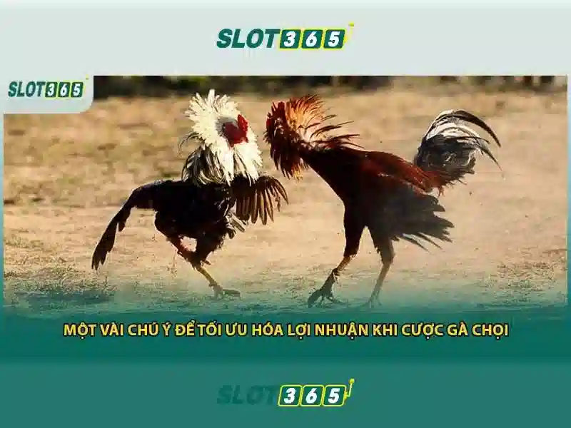 Slot365 và thế giới của trò chơi máy đánh bạc