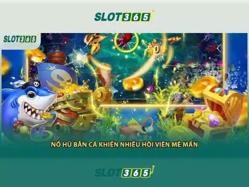 Giao diện và trải nghiệm người dùng