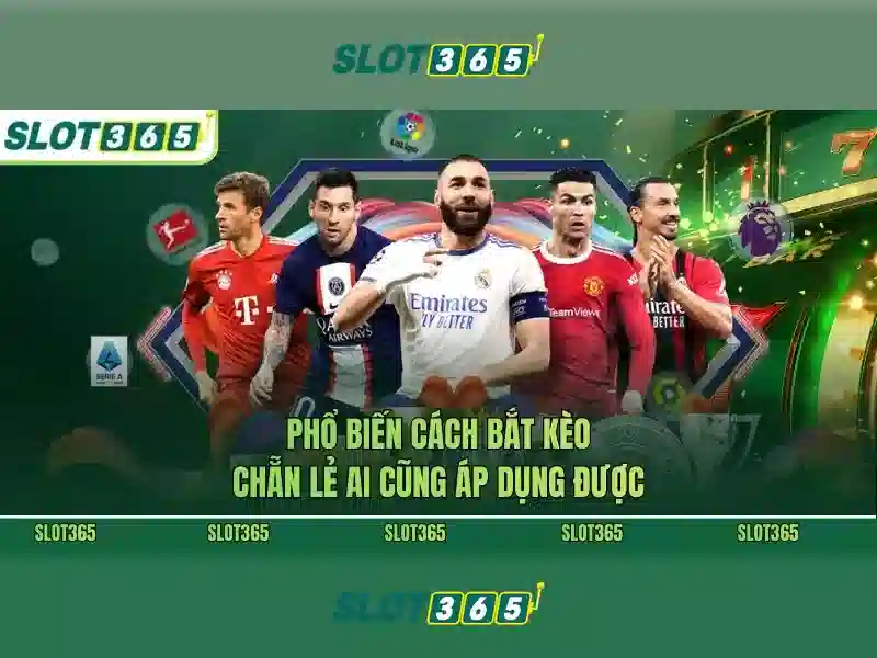 Slot365: Tổng quan về nền tảng slot trực tuyến và trải nghiệm người chơi