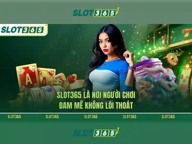 Slot365 là gì và tại sao nổi bật
