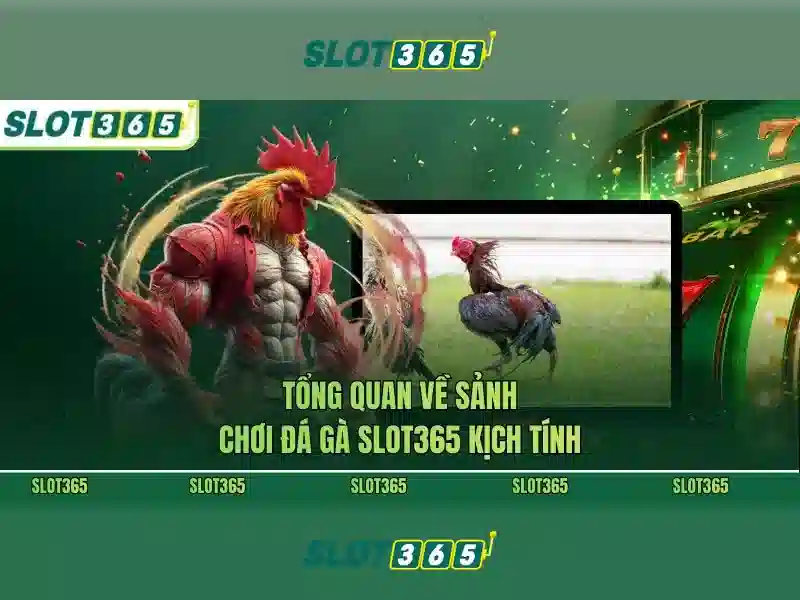 Slot365: Khám phá nền tảng casino trực tuyến hàng đầu