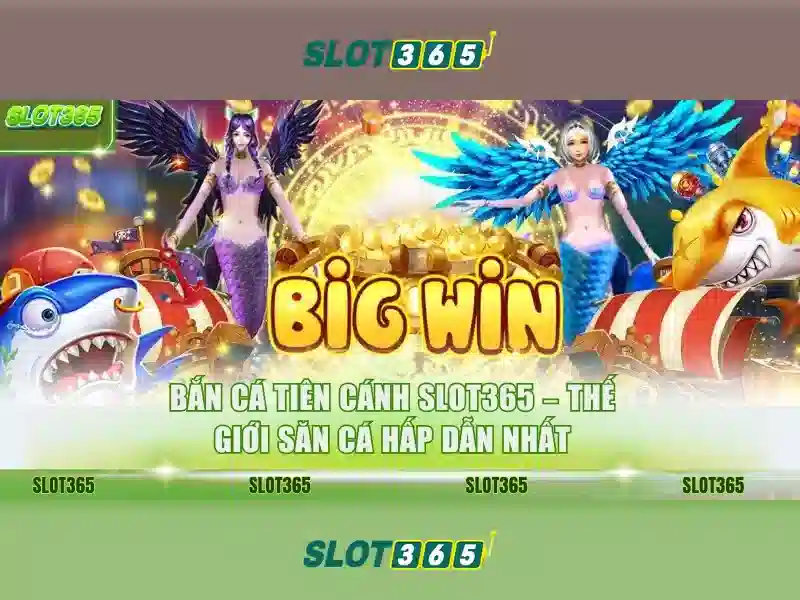 Slot365 - Nền tảng trò chơi máy đánh bạc trực tuyến