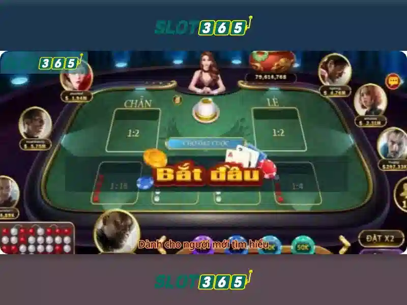 Slot365: Đánh giá và Trải nghiệm Slot Trực Tuyến