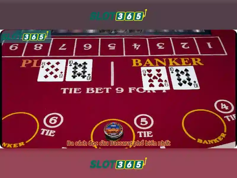 Slot365: Nền tảng cá cược trực tuyến hiện đại