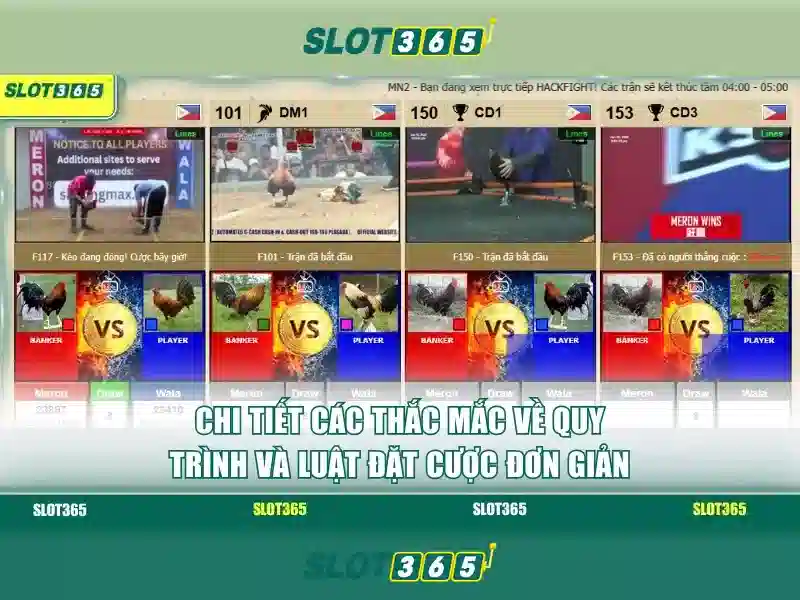Slot365: Nền tảng slot trực tuyến đáng tin cậy và thú vị