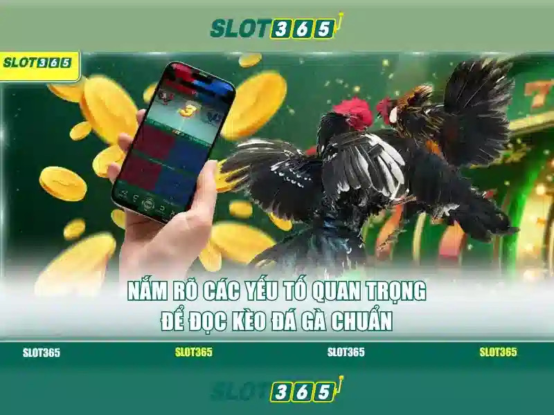 Slot365 - Trải nghiệm chơi slot trực tuyến hàng đầu