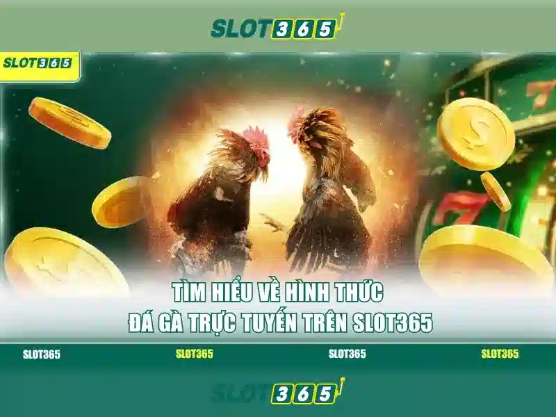 Slot365 – Trò chơi đánh bạc trực tuyến uy tín và giải trí