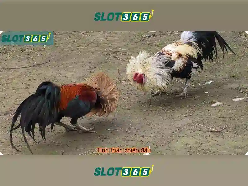 Giao diện người dùng thân thiện
