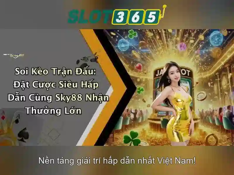 Các tính năng nổi bật