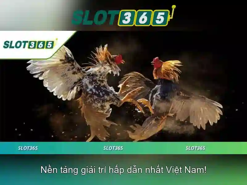 Hỗ trợ khách hàng 24/7