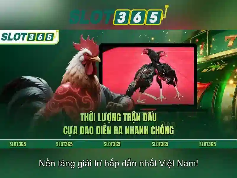 Slot365: Đánh giá tổng quan về nền tảng máy xèng trực tuyến
