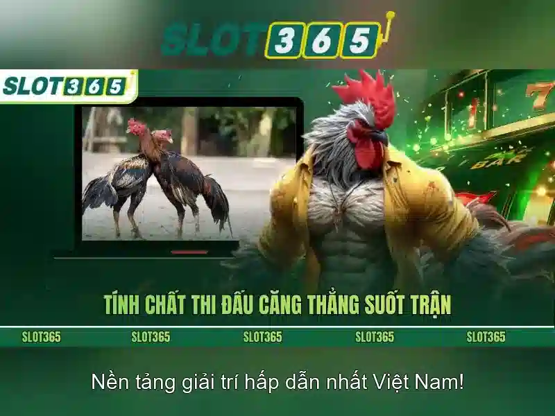 Slot365 là gì?