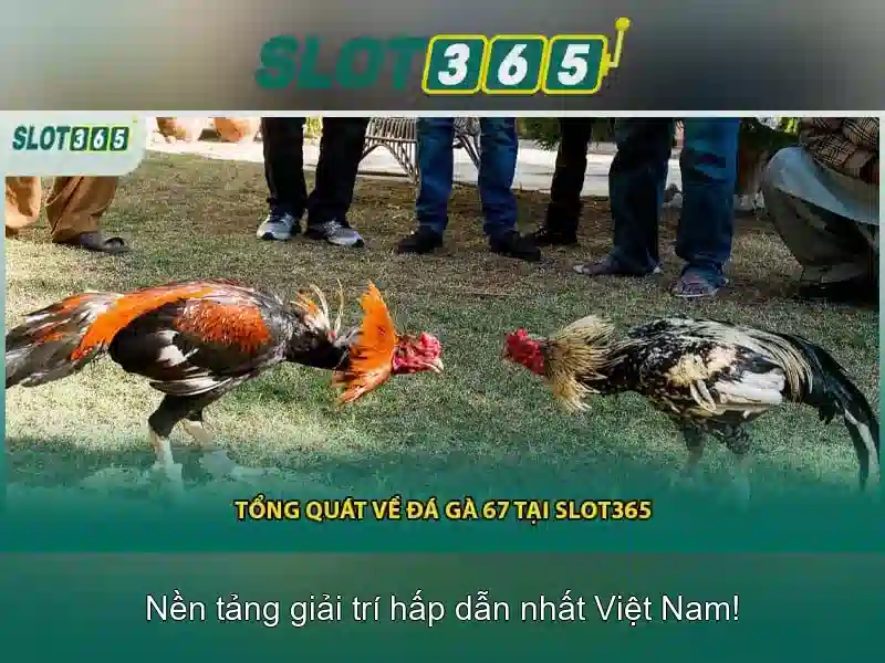 Slot365: Nền tảng xèng trực tuyến đáng chú ý tại Việt Nam