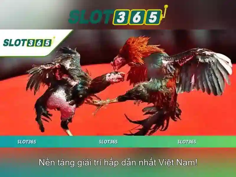 Khuyến mãi và chương trình thưởng