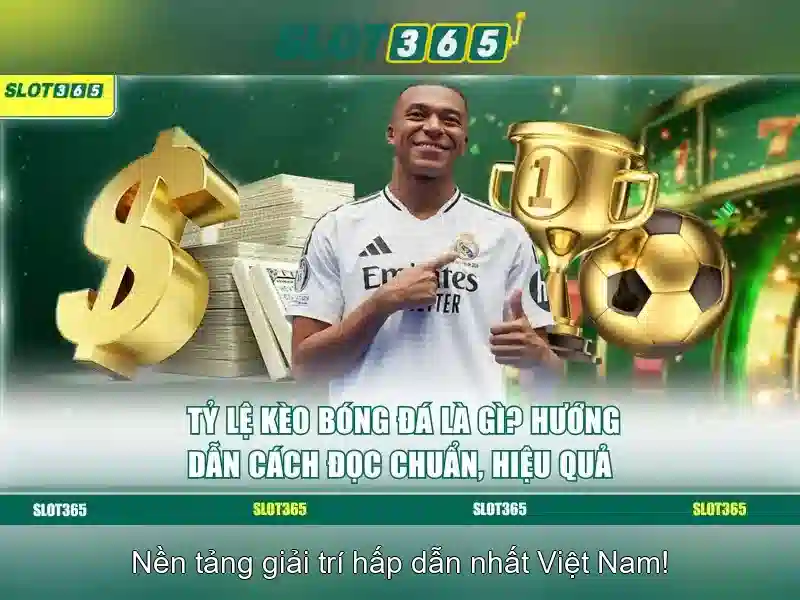 Tính năng và trải nghiệm người dùng