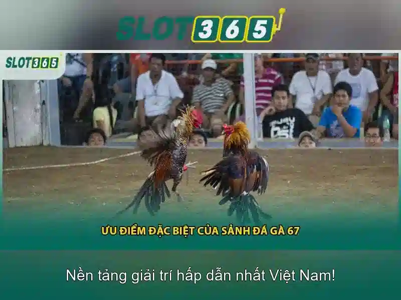 Các loại giftcode khác nhau tại slot365 bao gồm code tân thủ và code VIP