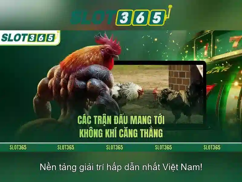 Slot365 - Tổng quan và trải nghiệm người chơi
