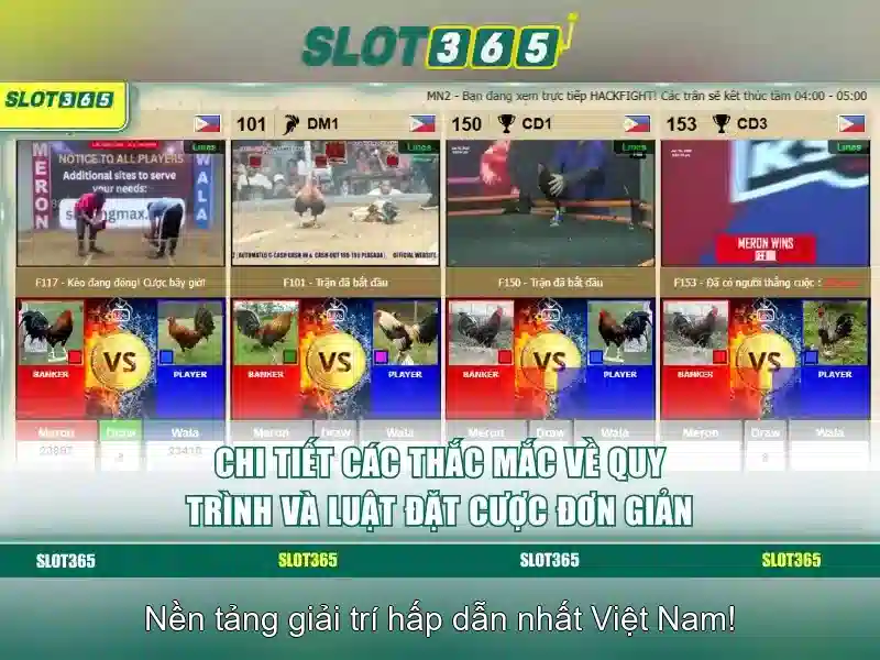 Slot365 là gì?