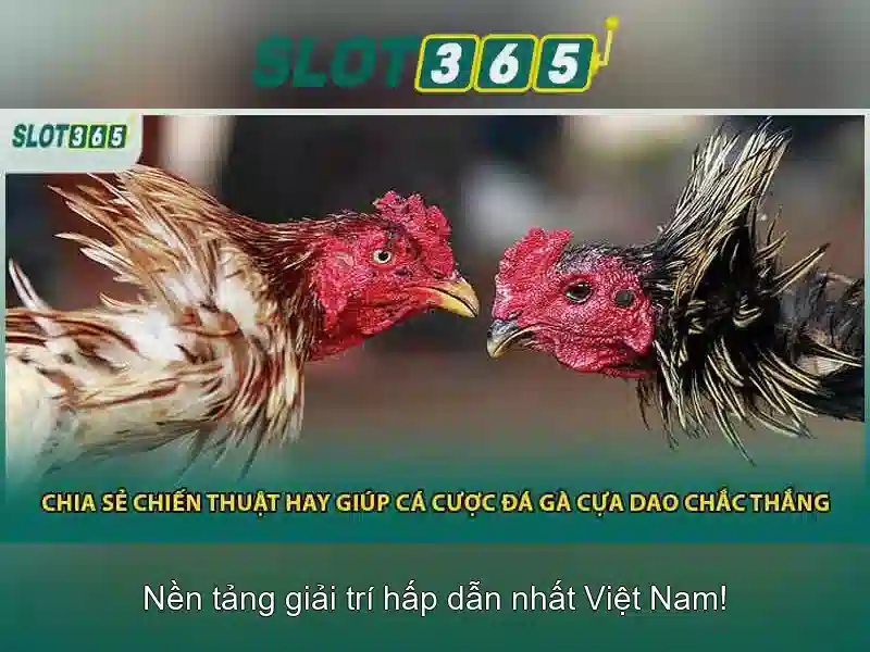 Đội ngũ và sự tin cậy