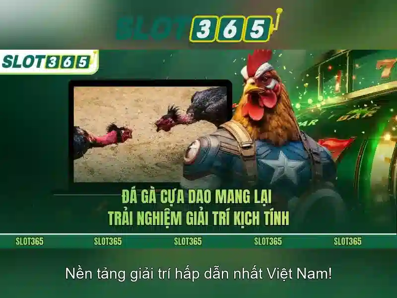 Khuyến mãi và chương trình khách hàng thân thiết