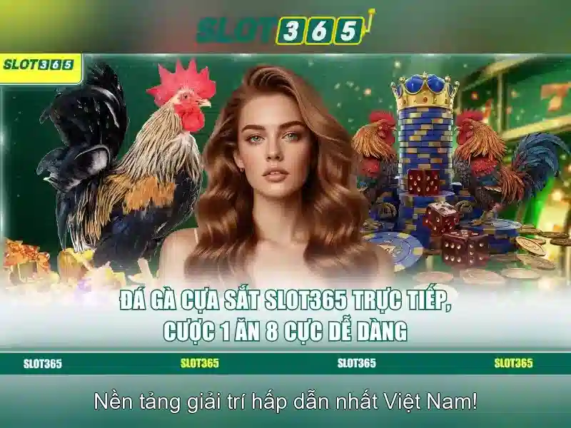 Trải nghiệm người dùng và vận hành