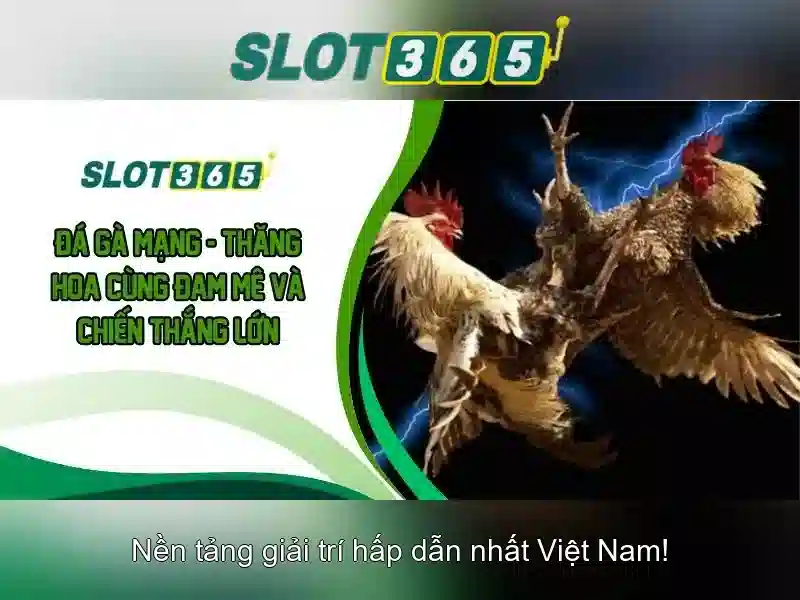 Slot365 – Tổng quan về nền tảng slot trực tuyến