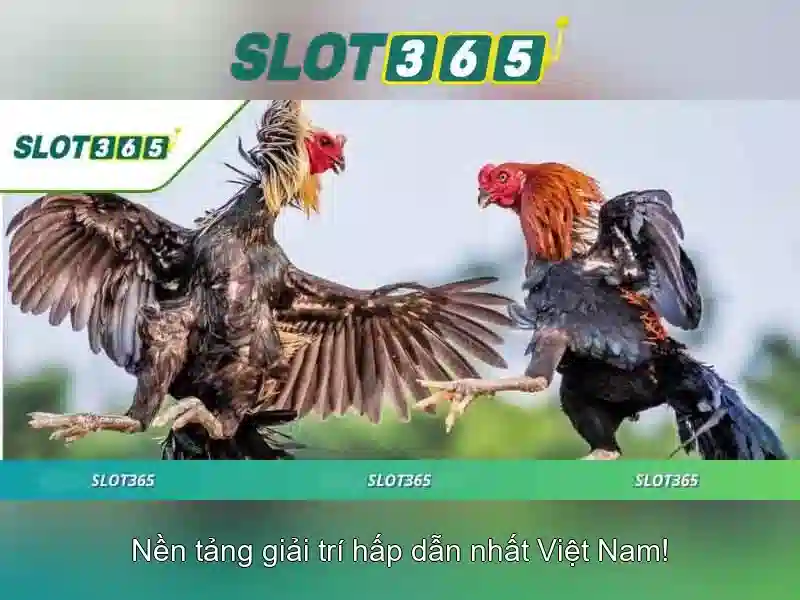 Slot365 - Nền tảng máy xèng trực tuyến đáng tin cậy