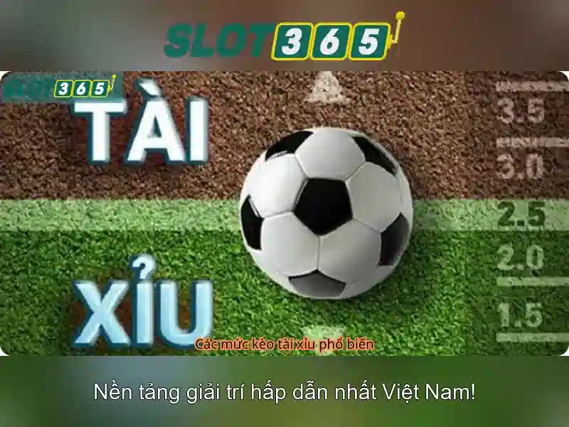 Slot365 là nền tảng trò chơi trực tuyến đáng tin cậy