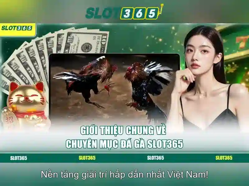 An toàn và công cụ hỗ trợ người chơi