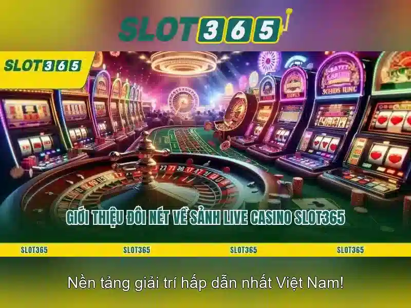 Trải nghiệm người dùng và giao diện