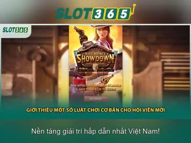 Khuyến mãi và chương trình thành viên