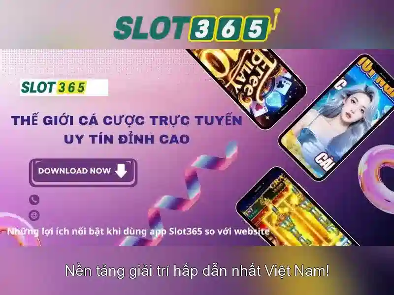 Trải nghiệm người dùng và giao diện