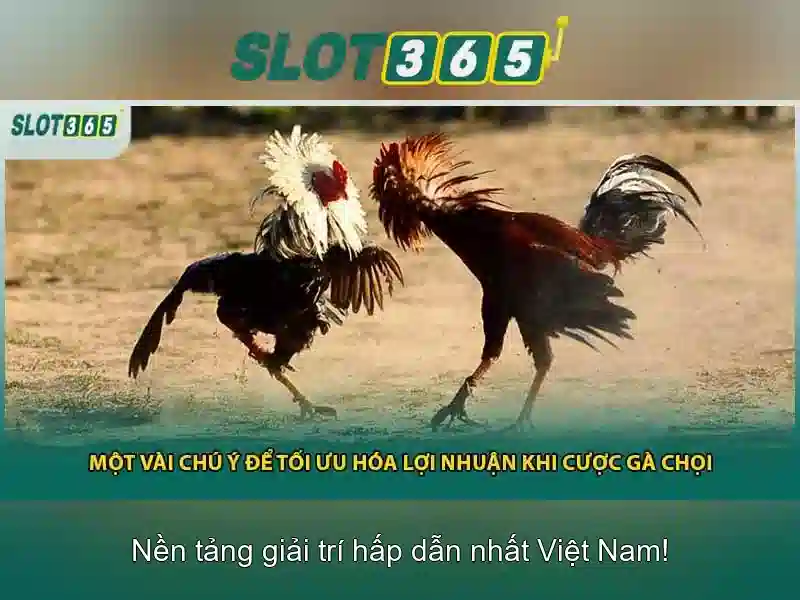 Danh sách trò chơi và nhà cung cấp