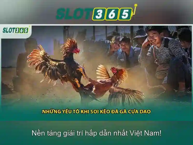 Slot365: Cổng trò chơi slot trực tuyến và đánh giá tổng quan