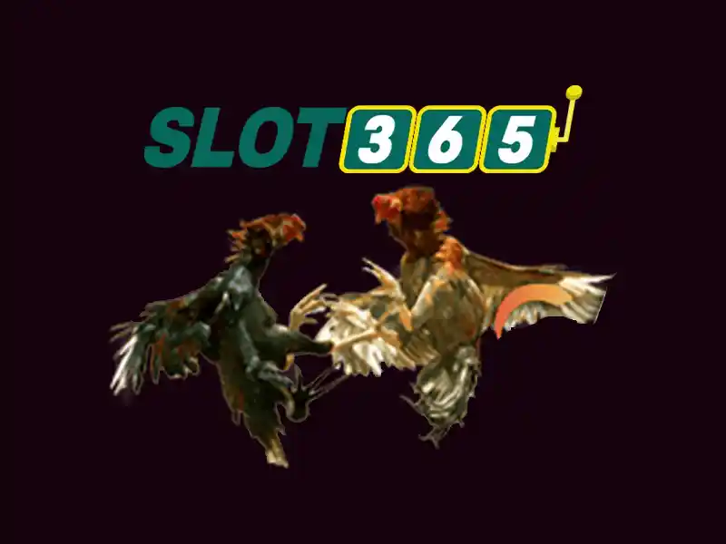 Slot365: Khám phá nền tảng slot trực tuyến hàng đầu