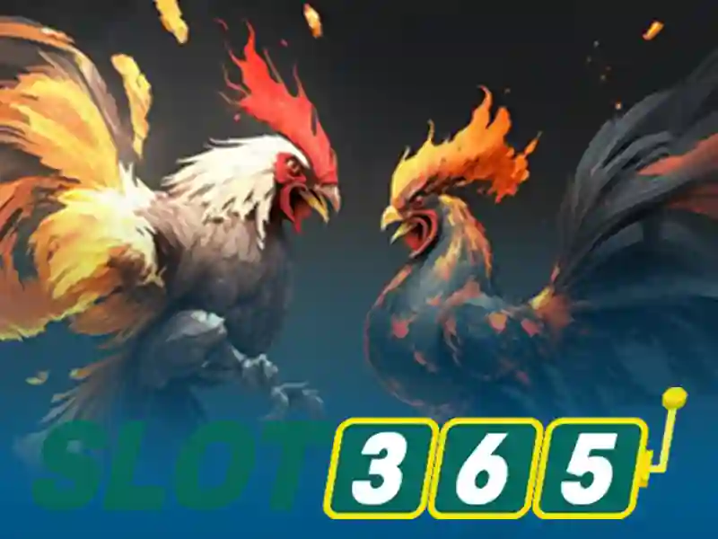 Slot365 – Nền tảng trò chơi quay số trực tuyến đáng tin cậy